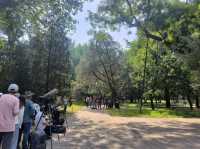 天壇公園的隱藏魅力