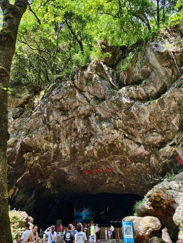 Too Hot to Be Out in Nature? This might be just the place for you!