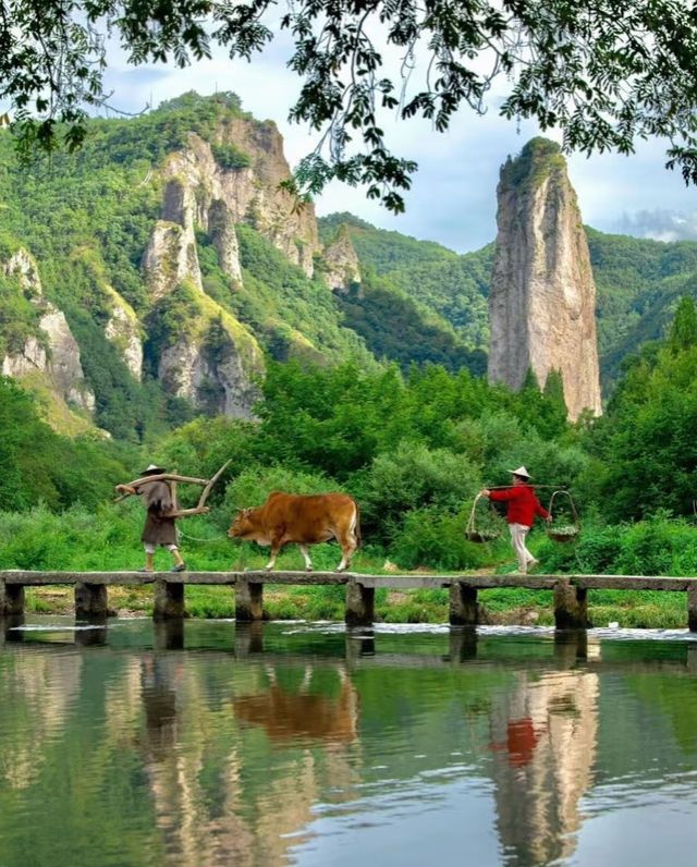 麗水4日親子遊 帶住小朋友玩轉綠水青山