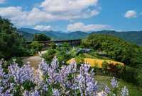 一次難忘嘅山居度假之旅