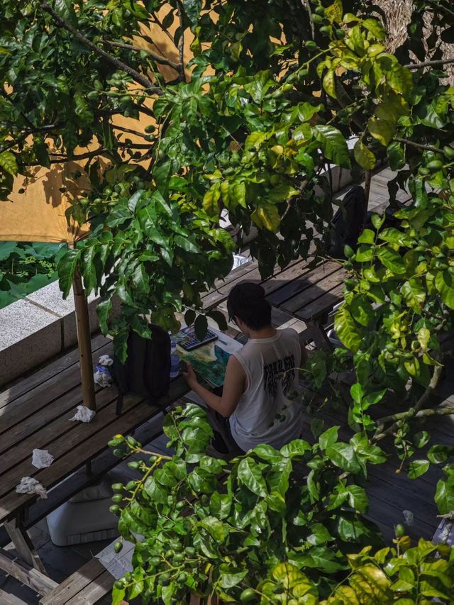 古村入畫|用畫筆留住時光的痕跡