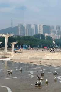 邊個將冷氣搬咗去大連星海？夏日大連旅行必睇！