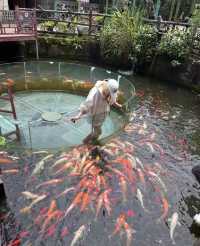 昆明1小時直達「天空索橋」森林之巔