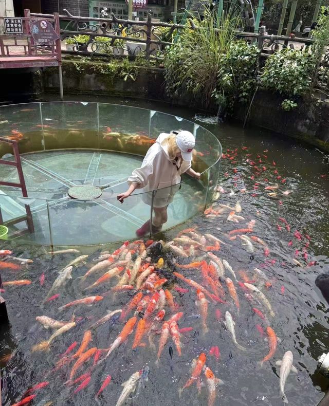 昆明1小時直達「天空索橋」森林之巔