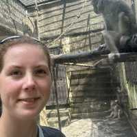 How to spend 4 days in Chongqing
