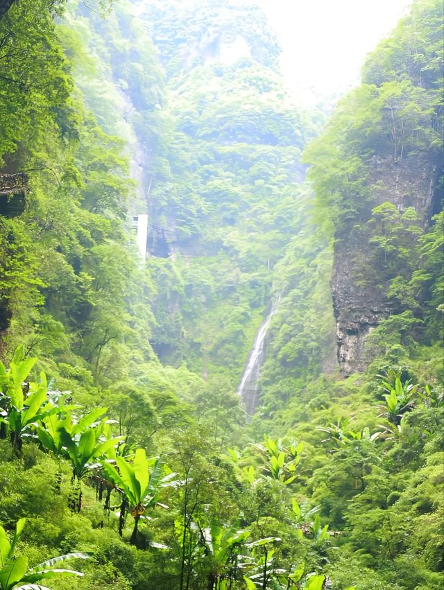18℃地心跳野迪！冷門到喊嘅避暑勝地！