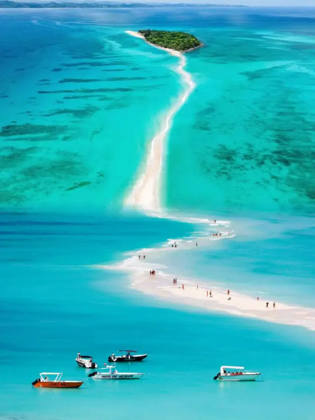 Discover the Wild Paradise of Madagascar