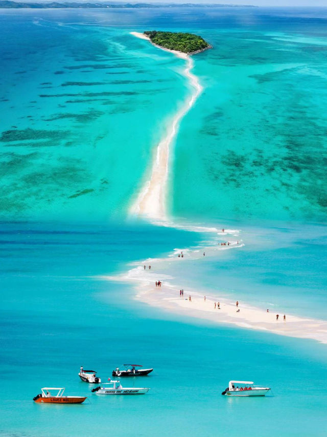 探索馬達加斯加野性天堂