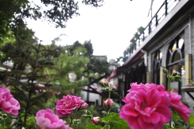 雲南大理真實評價
