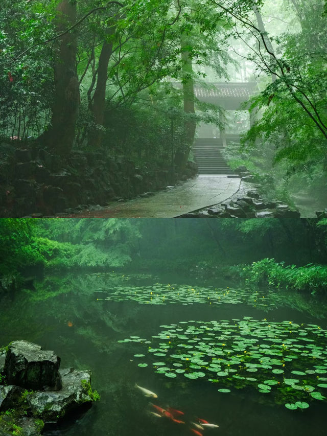 虎跑嘅水真係好正