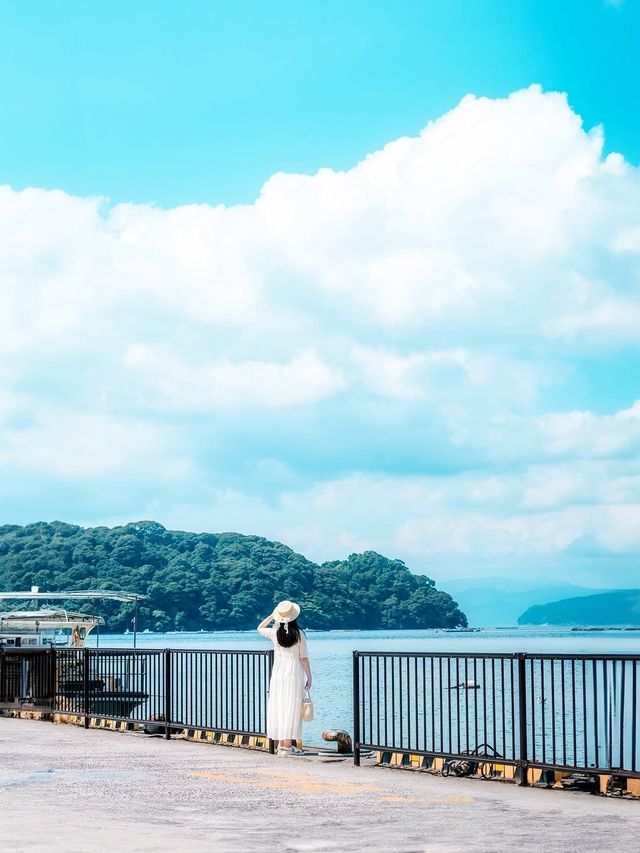 伊根灣絕美海景