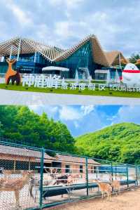 長春神鹿峰全攻略高空項目+梅花鹿互動，週末遊好去處！