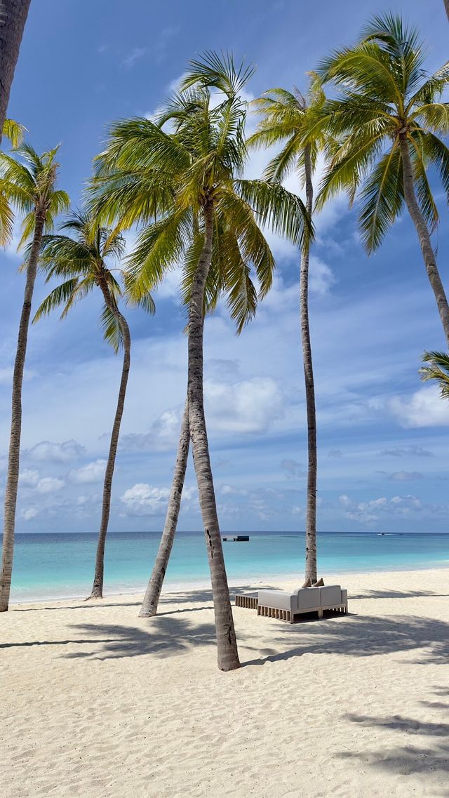 Comfortable Villas and Delicious Dining Experience