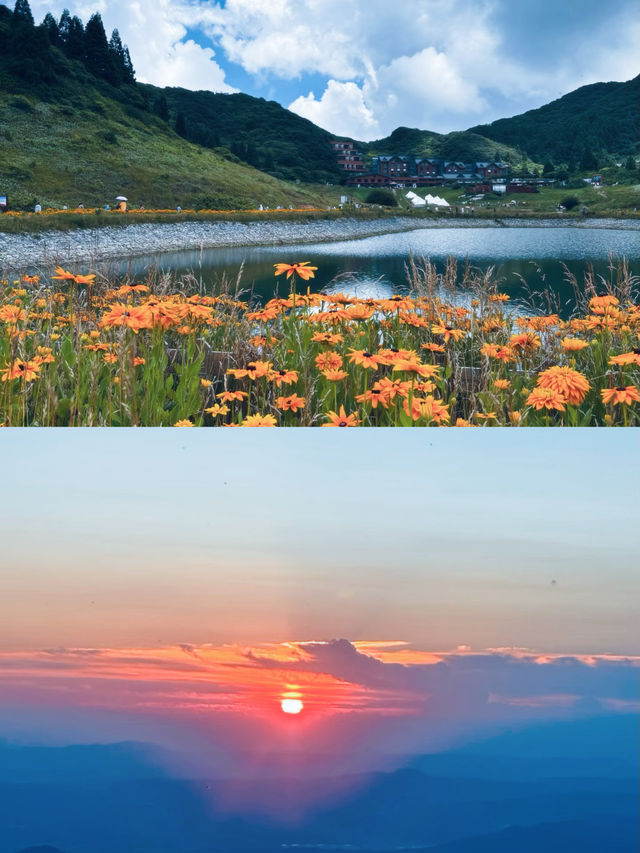 重慶南川金佛山保姆級攻略|四季玩法大公開 重慶南川金佛山保姆級攻略|四季玩法大公開