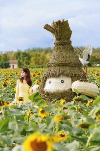 Yancheng's Hidden Flower Sea: Few People, Beautiful Scenery｜Step into a Van Gogh Painting