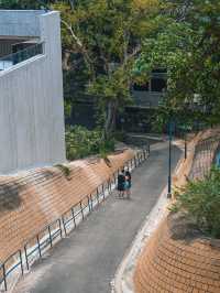 香港小眾打卡｜香港訊號山花園
