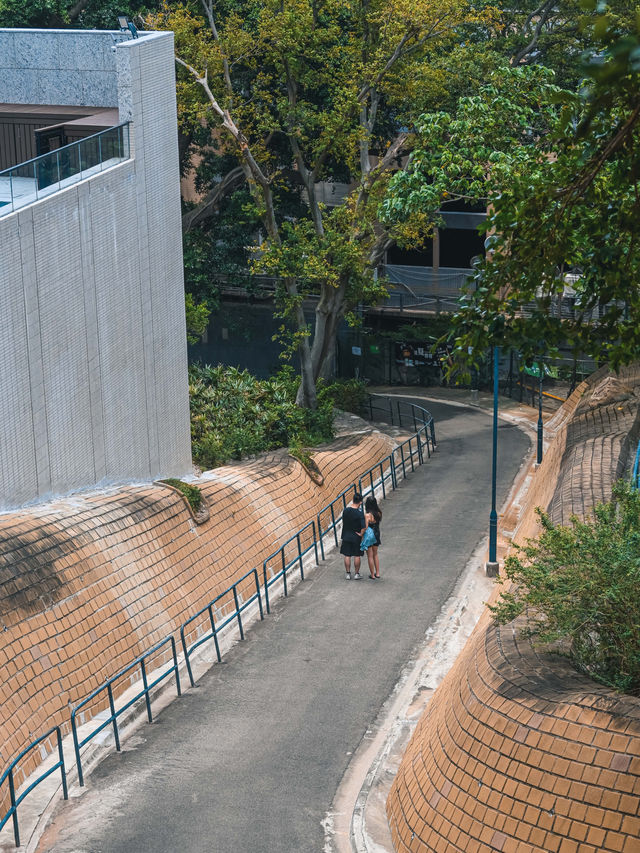 香港小眾打卡｜香港訊號山花園