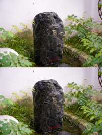 長安秋日私藏