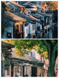 你一句春不晚，我到了真江南