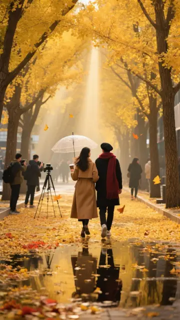 京城最美銀杏大道賞秋攻略