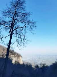 【上帝視角！在天梯上看盡整座山】