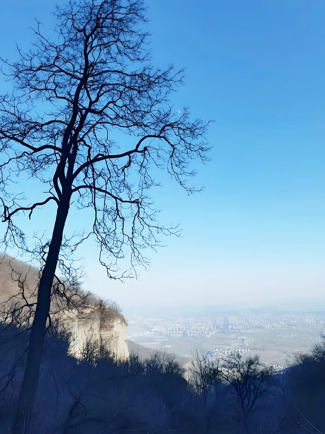 【上帝視角！在天梯上看盡整座山】