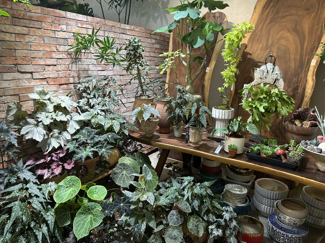 🌿 深圳花卉市場｜與植物來場浪漫的近距離約會 🌸
