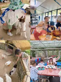 二胎出遊｜我願稱之為武漢親子遊天花板