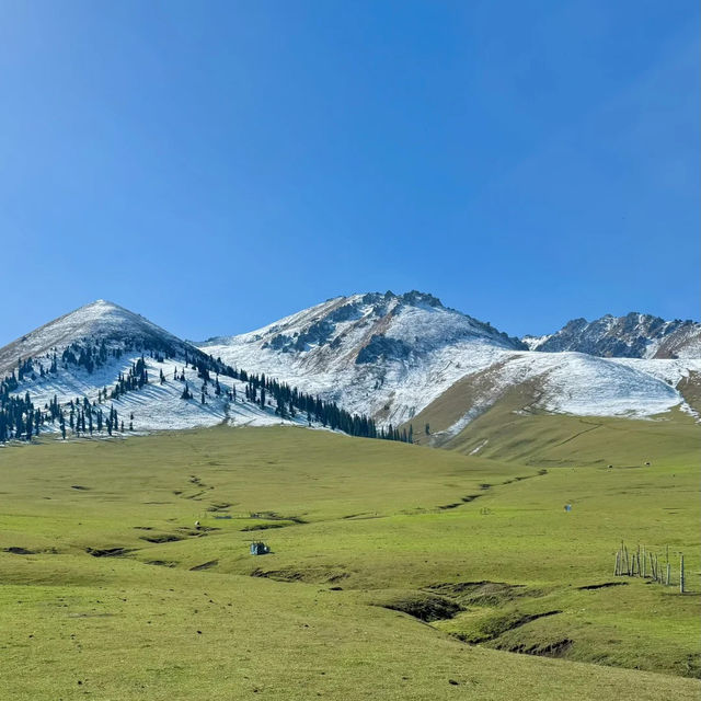 🏔️신이 내린 정원, 나라티 초원에서 말타고 느끼는 가을의 낭만 