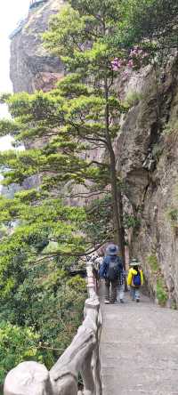 一天玩轉雁蕩山精華