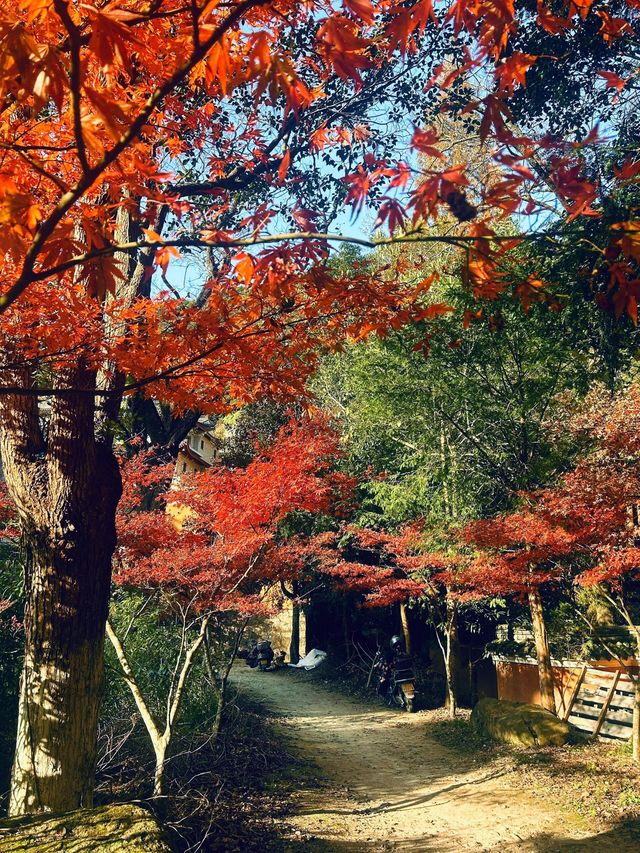 霞客古道秋日暴走