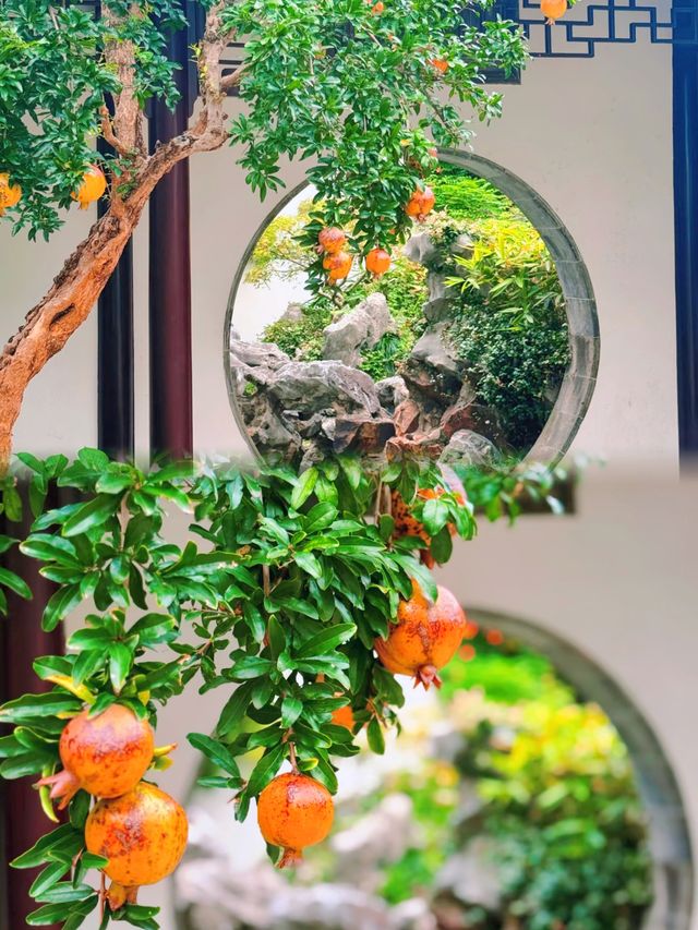 蘇州小眾園林｜詹氏花園，免費又出片！
