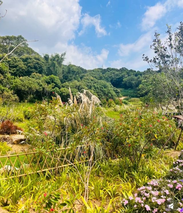 好像走進了莫奈的花園深圳恩上公園！