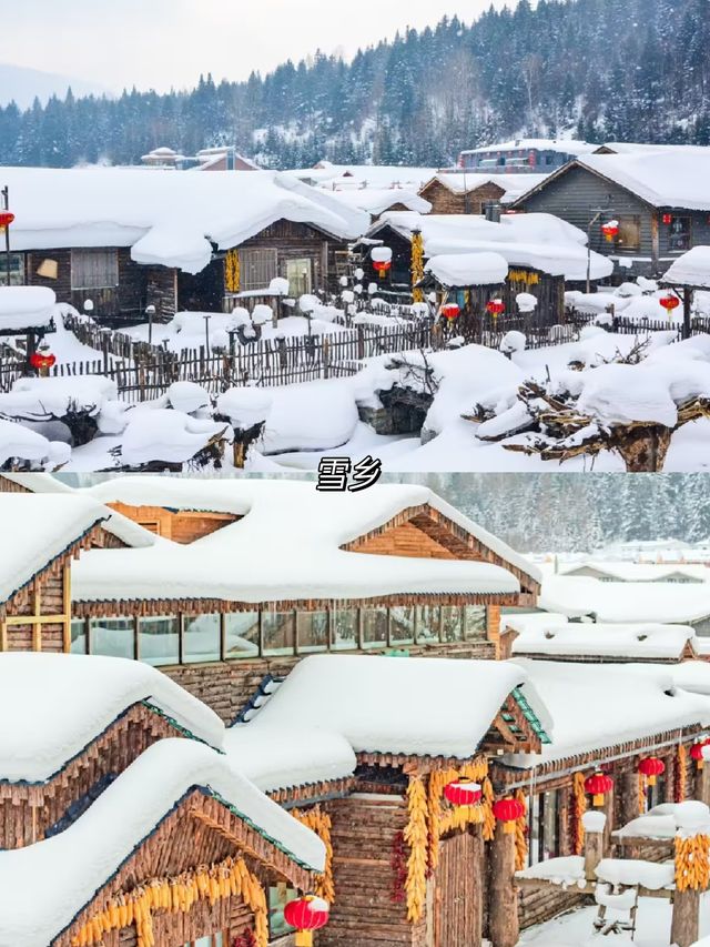 一生坐一次雪國列車越過大興安嶺到漠河