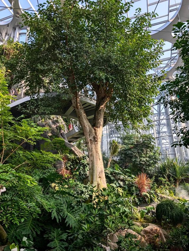 上海世博文化公園溫室花園超全攻略