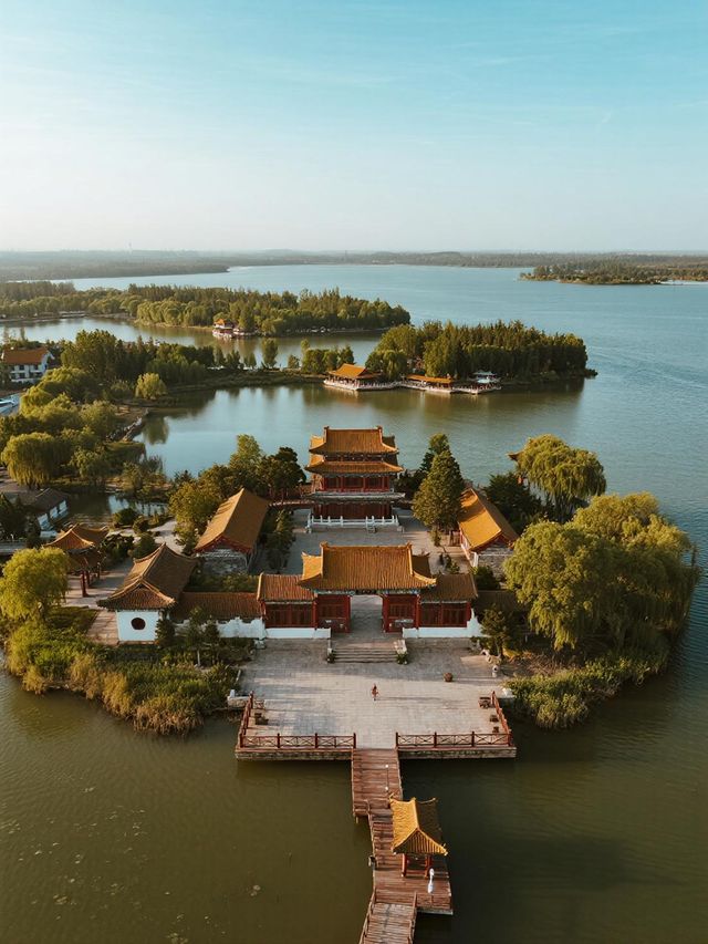 淄博週末遛娃！免費荷塘+蘆葦蕩太治癒啦～🪷