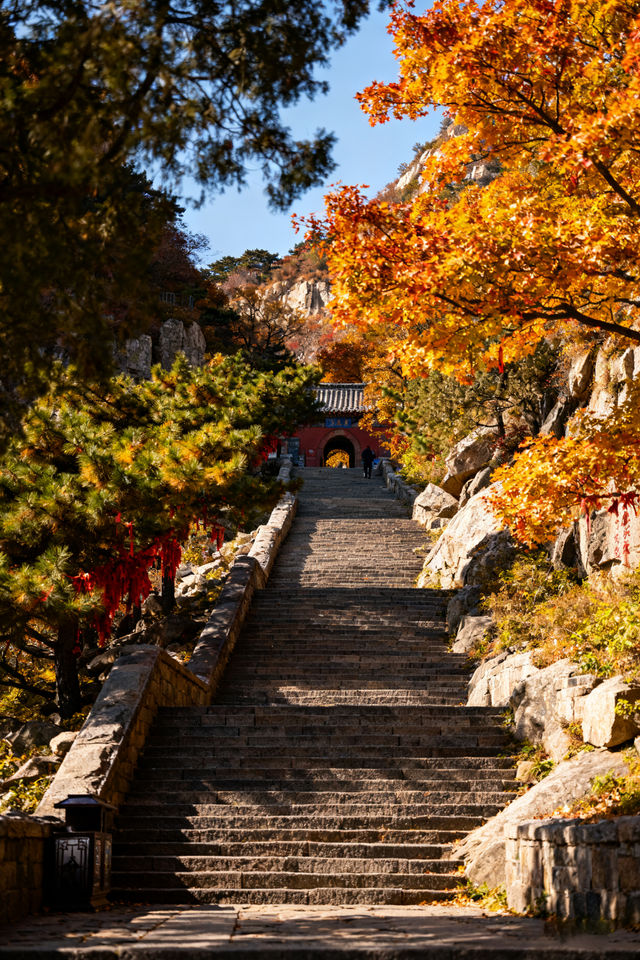家庭遊好去處！山東日遊超高性價比