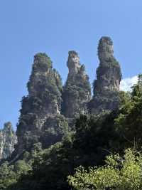 張家界4天包車遊攻略|超全必看