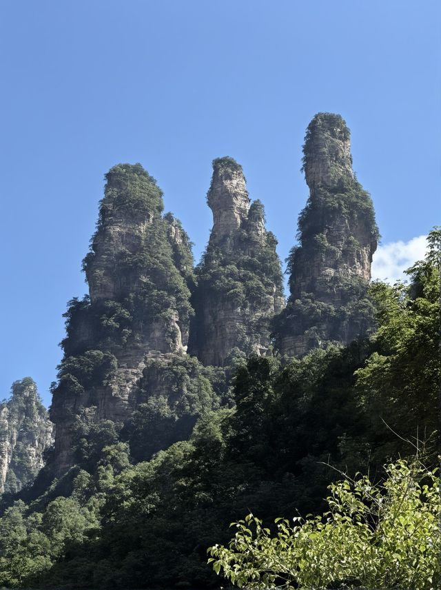 張家界4天包車遊攻略|超全必看 張家界4天包車遊攻略|超全必看