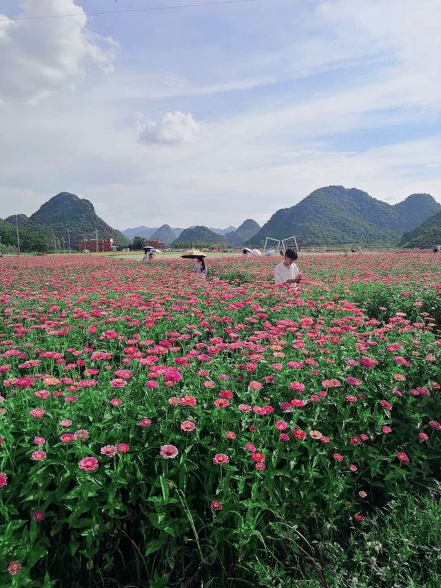 昆明秘境花園打卡點