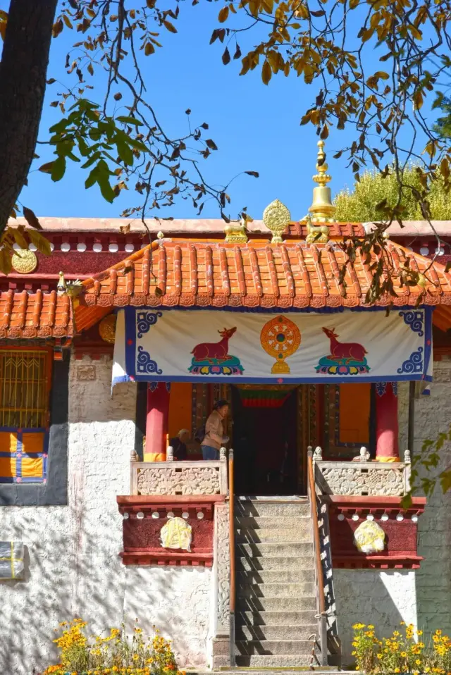 羅布林卡冬遊西藏免費參觀