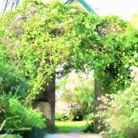 悉尼近郊絕美秘境封神了！