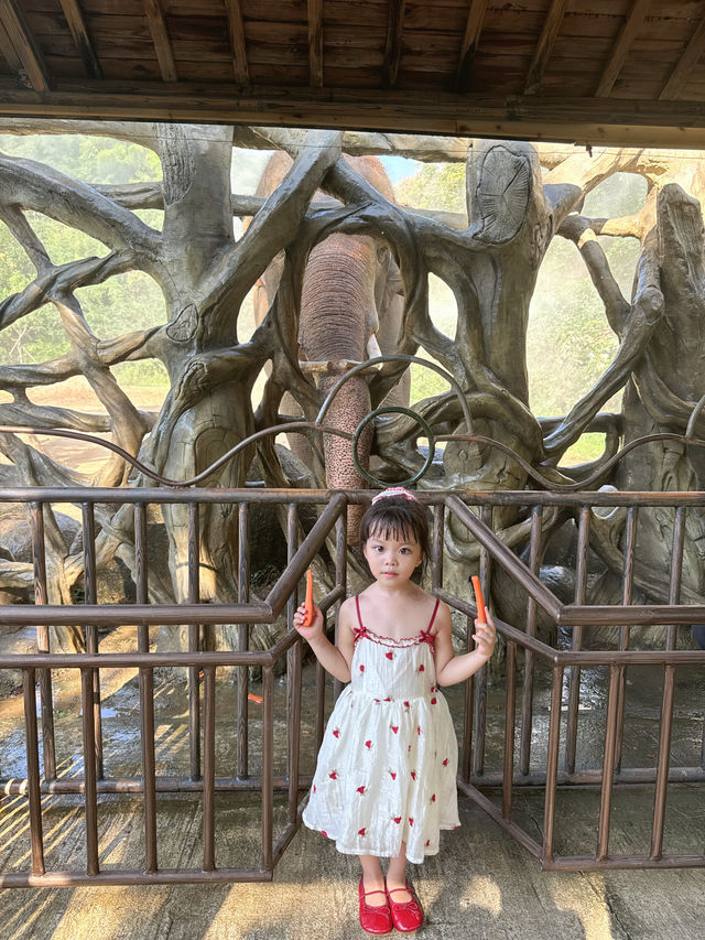寧波一日遊!寧波野生動物園遛娃全職業攻略! 寧波一日遊!寧波野生動物園遛娃全職業攻略!