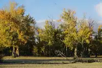 阿勒泰美翻的五彩灘