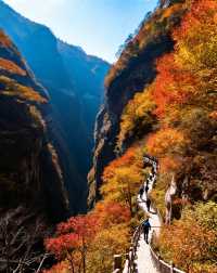 乳源雲門山旅遊區|禪意山水與高空冒險的雙重治癒
