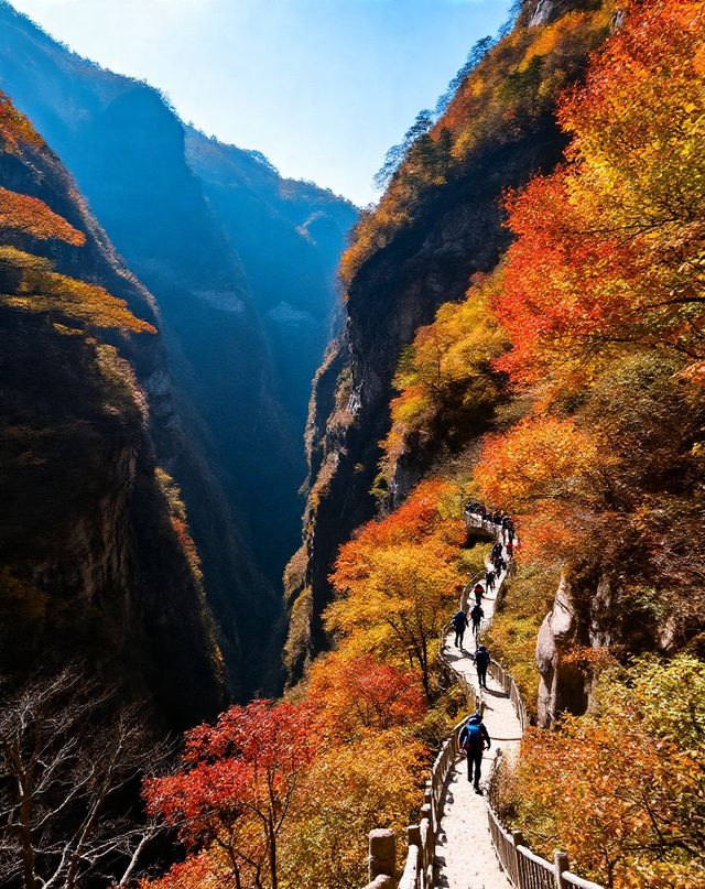 乳源雲門山旅遊區|禪意山水與高空冒險的雙重治癒