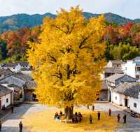 乘上復古小火車，闖入南國油畫世界！