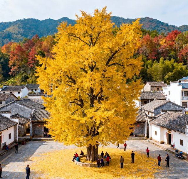 乘上復古小火車，闖入南國油畫世界！