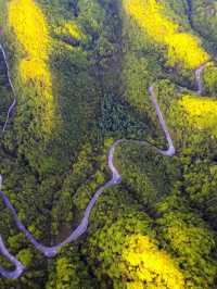 秋遊巴中包車遊也太治癒了吧