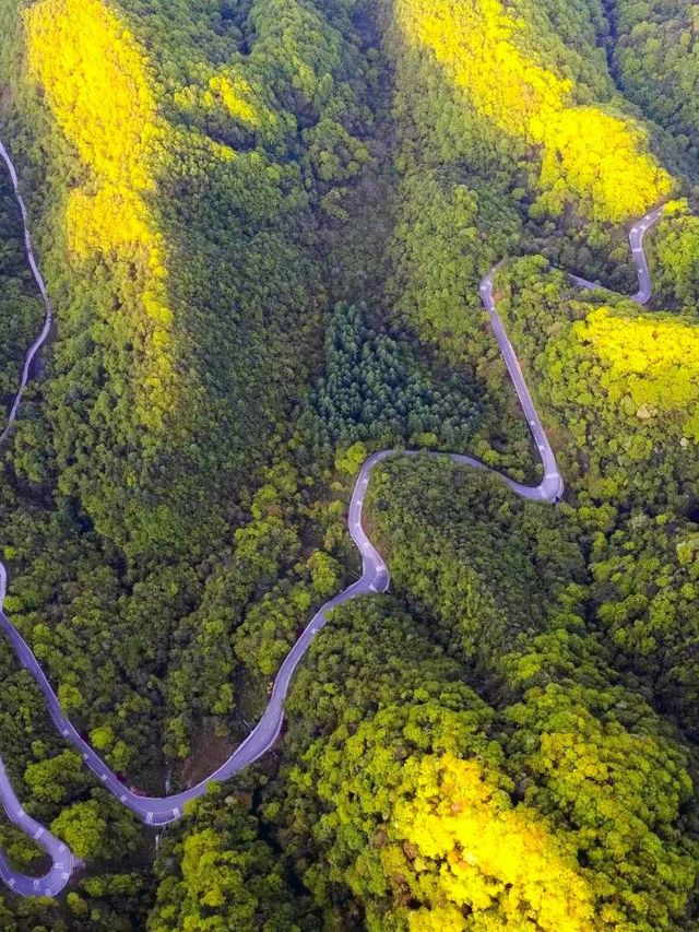 秋遊巴中包車遊也太治癒了吧